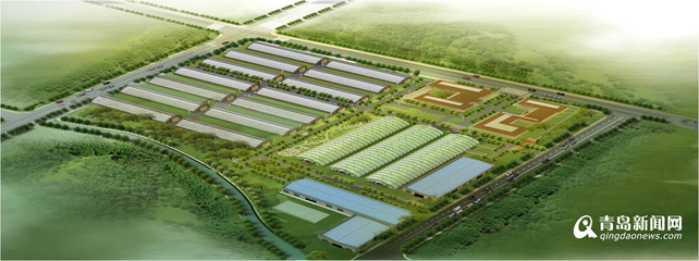 13個(gè)現(xiàn)代農(nóng)業(yè)項(xiàng)目落戶西海岸，總投資52億元